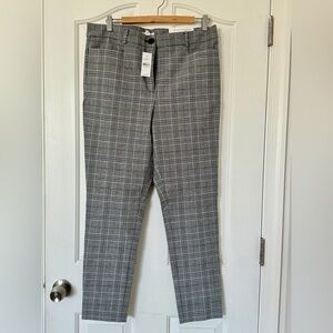 NWT Loft Sutton Skinny Pants size 12